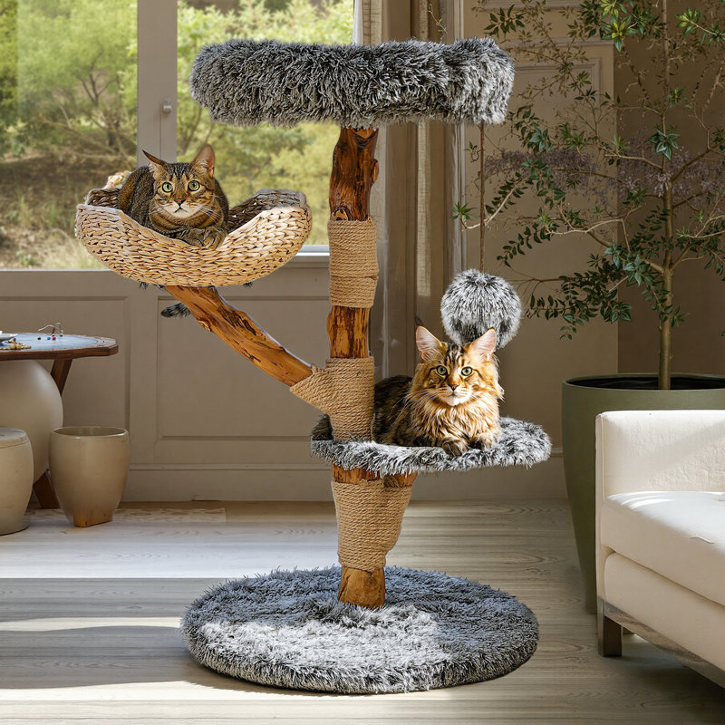 Tucker Murphy Pet™ Solid Wood Cat Tree & Reviews | Wayfair
